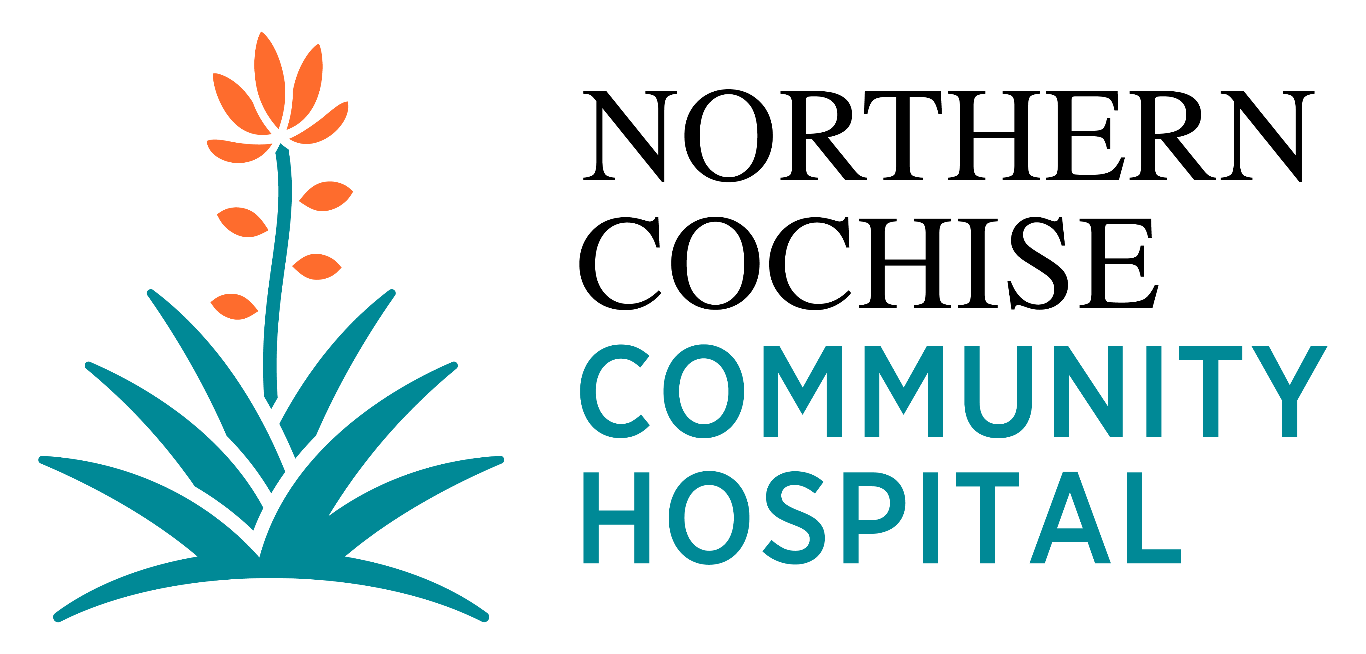 NCCH Logo